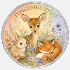 Congratulations, Ag 999 — widok z przodu