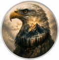 Eternal Eagle, Ag 999 — widok z przodu