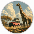 Safari, Ag 999 — widok z przodu